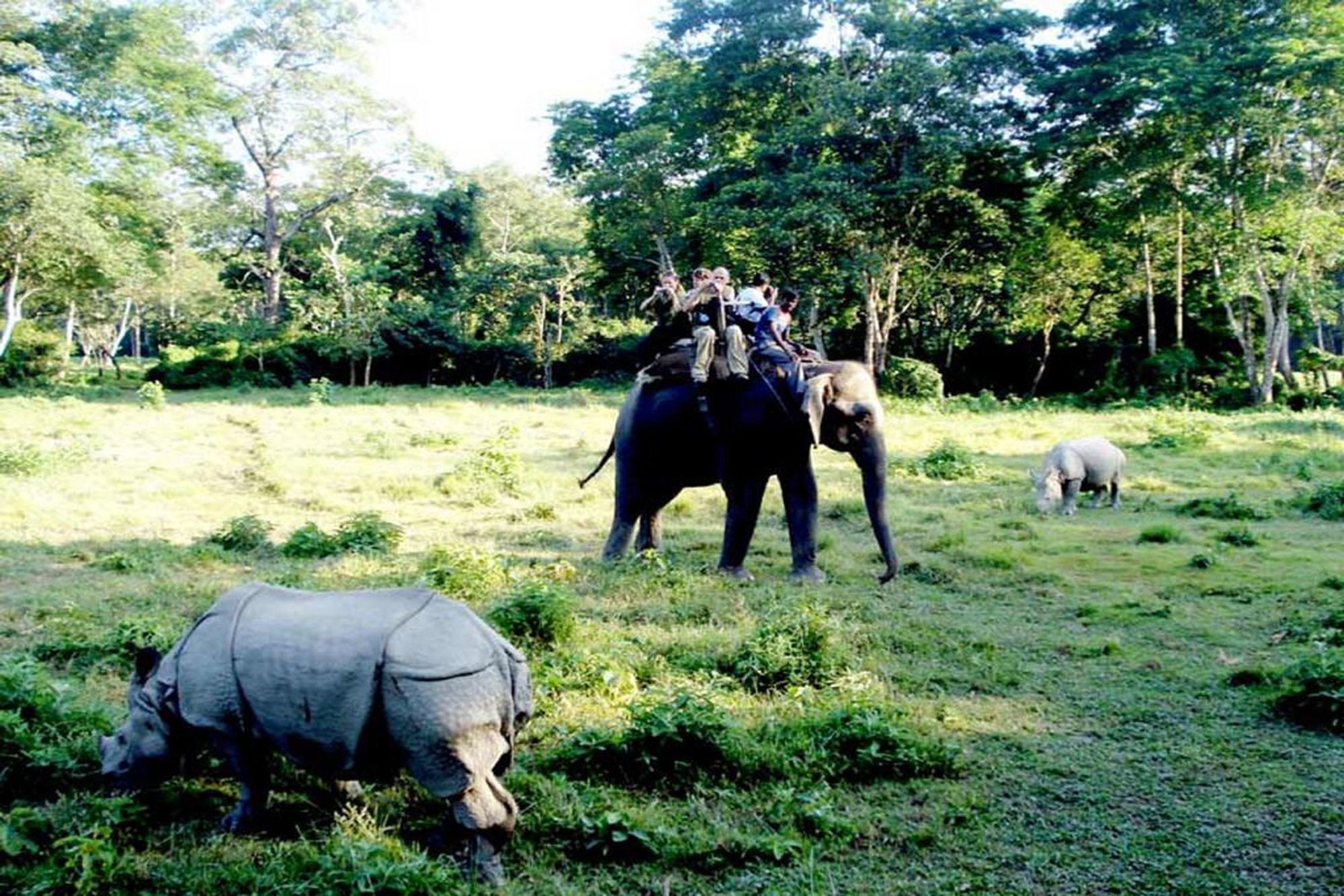 Safari Wildlife Lodge And Camp Читван Экстерьер фото